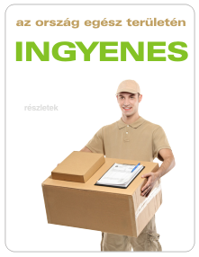 Ingyenes kiszállítás